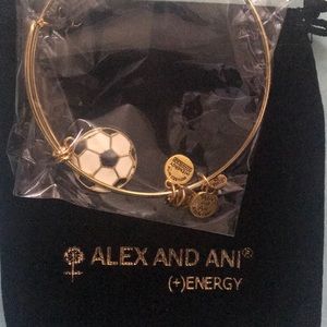 Moc Alex and Ani bracelet